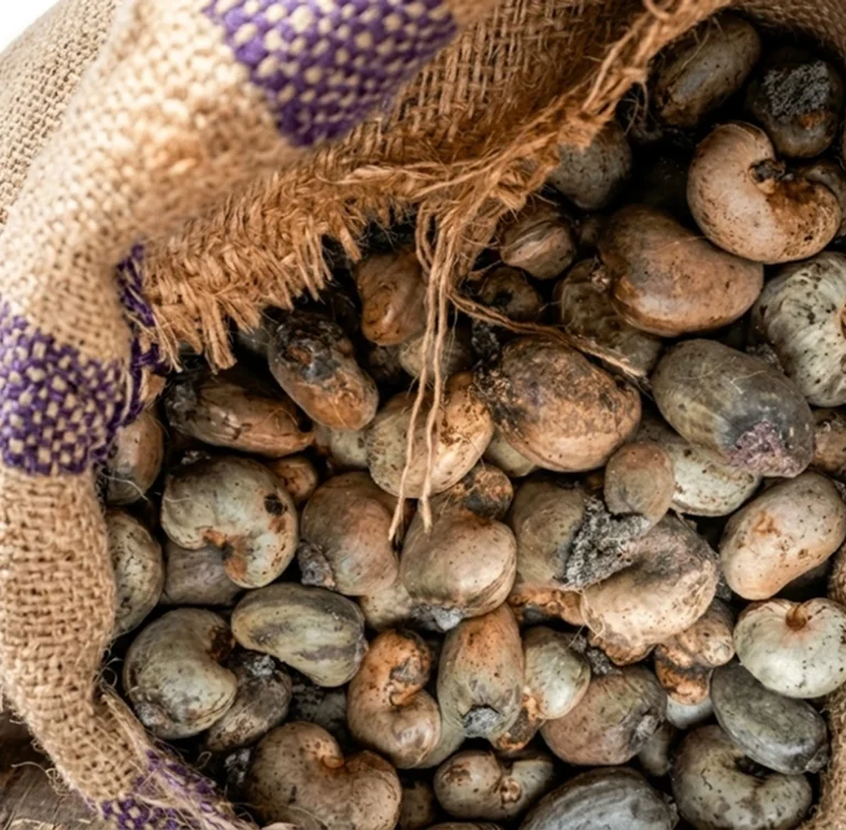 Exporting premium Nigerian agro products to buyers and international markets worldwide.