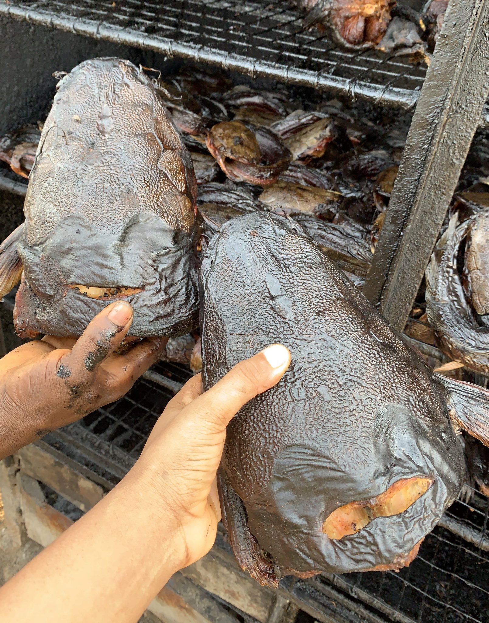 Smoked Dry Catfish - Image 3