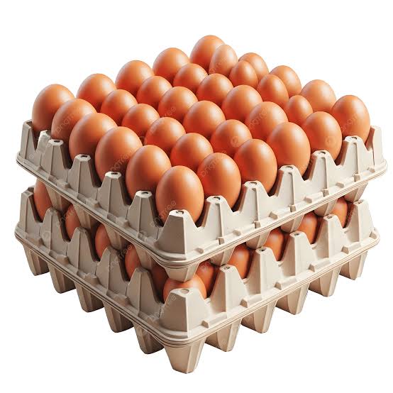 Fresh Farm Eggs